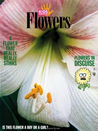 Flowers Flowers