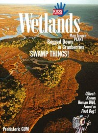 Wetlands Wetlands