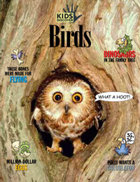 Birds Birds