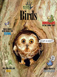 Birds - Kids Discover
