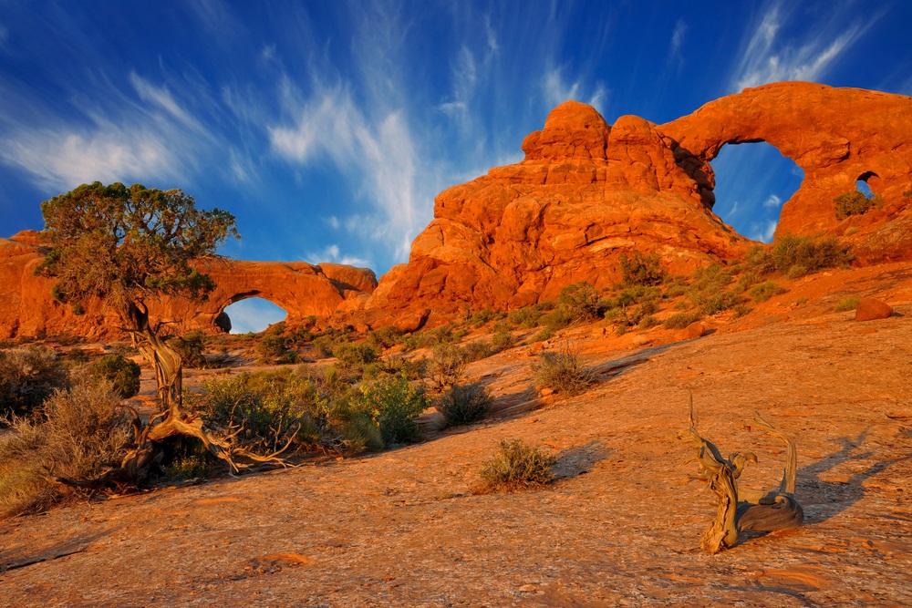 These sandstone formations in Utah’s Arches National Park display layers of sediment first deposited about 140 million years ago. The park’s 2,000 sandstone arches were formed by the progressive erosion of weak points in the sandstone. (Darren J. Bradley/ Shutterstock)