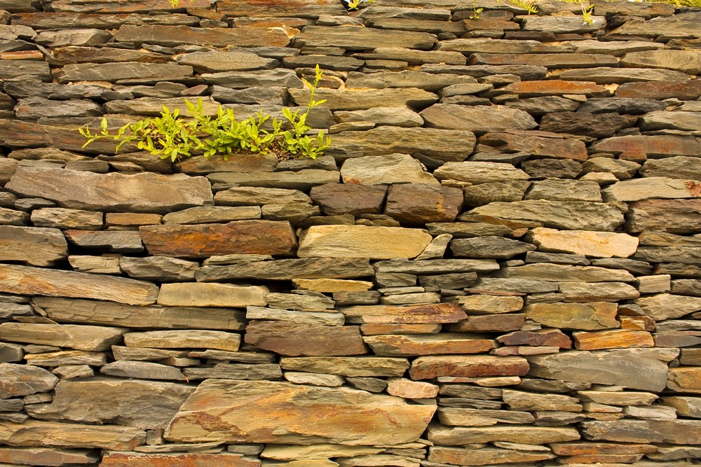 Slate splits easily into flat stones that can be used as roof shingles, paving stones, floor tiles, and blackboards—and for building garden walls. (Toniflap/ Shutterstock)