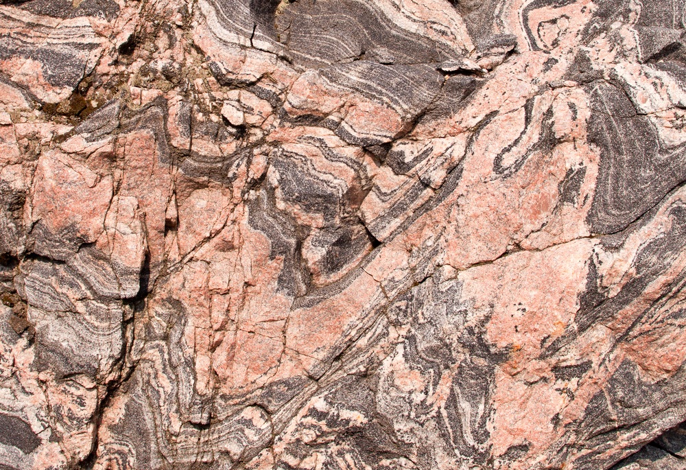Metamorphic rocks are lifted up to the surface by the action of Earth’s moving plates and erosion. The twists and turns in the bands of this metamorphic rock from Canada show how the rock underwent extreme folding and pressure. (Les Palenik/ Shutterstock)