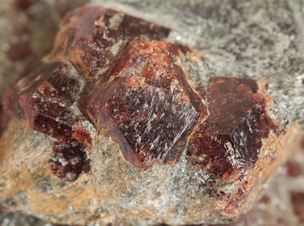 Intense metamorphism can cause new minerals to form in rock. These red garnets are a semi-precious gemstone. (V_Kurashev/ Shutterstock)