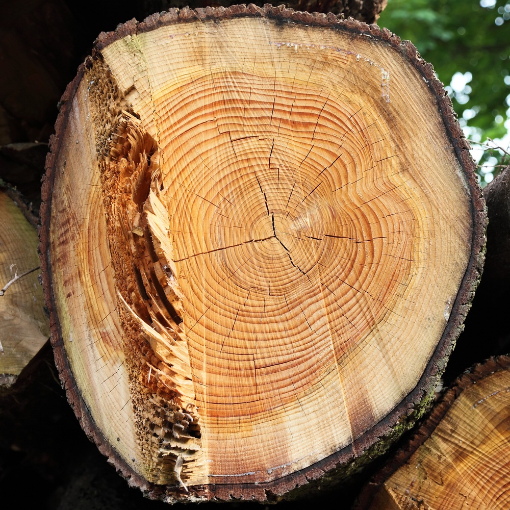 military dating format