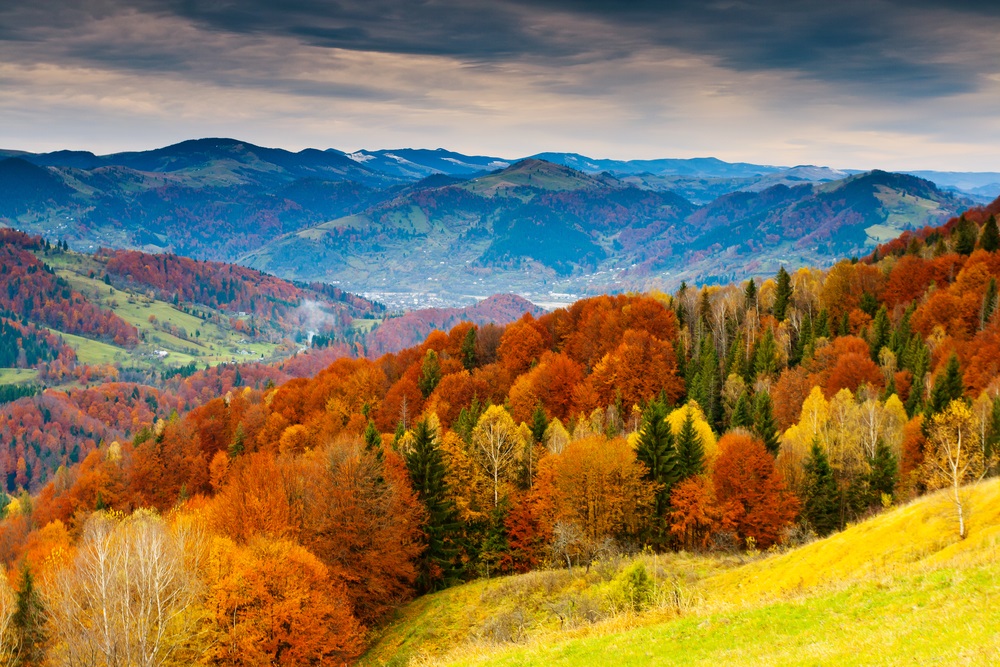 An entire tourism industry revolves around “leaf peeping.” In the United States, about $30 billion a year is spent by people traveling to see the fall colors. (Creative Travel Projects/ Shutterstock) 