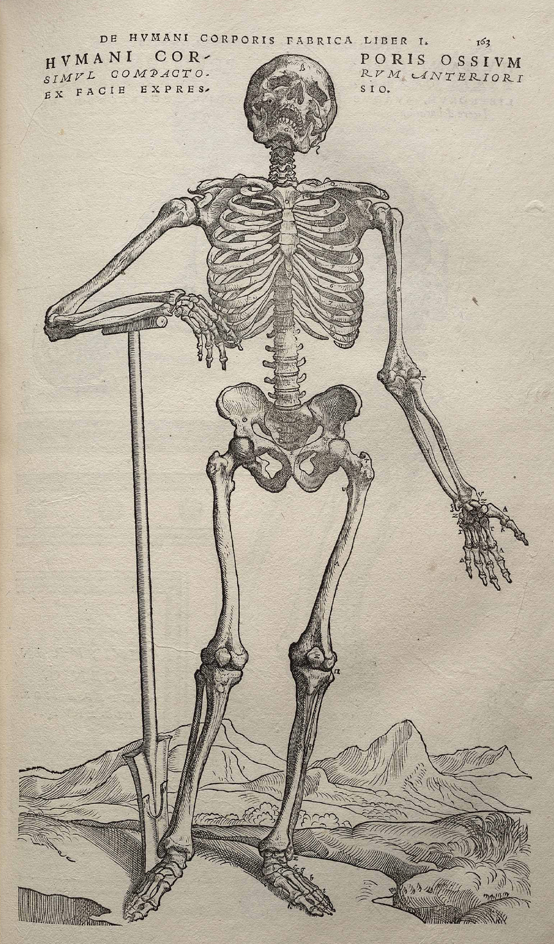 One of the most important scientific books of the Renaissance was On the Fabric of Human Anatomy. Published in 1543, it was a seven-volume work by the physician Andreas Visalius and illustrated by one of the students of the great Renaissance painter Titian. Although the primary purpose of On the Fabric of Human Anatomy was to provide an accurate picture of human bones, muscles, and organs, it is filled with anatomical drawings set in odd places. This skeleton appears to be going on a hike in the Alps. (Image via Wikipedia)