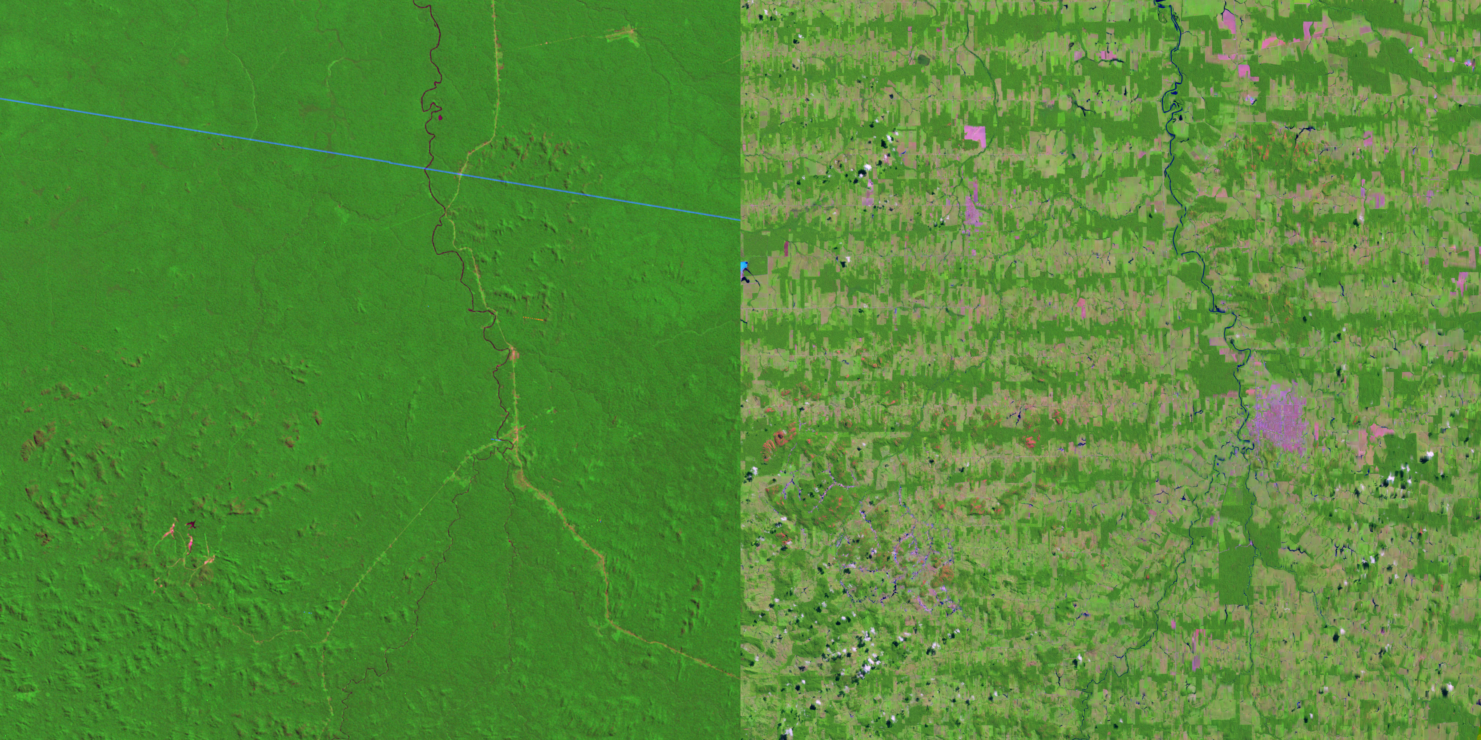 Did you know? Over one-third of the land on our planet is used for farming and ranching. This is a picture of 650 square miles of Amazon rain forest taken from a NASA satellite. The left side is what the area looked like in 1975. The right side is what that same area looks like today. Here’s what the NASA Earth Observatory had to say about this: “Settlers cleared the area by first cutting and then burning the forest. As farmed lands grew larger and closer together, they began to merge into a large area of deforestation.” (Image via Nasa) 