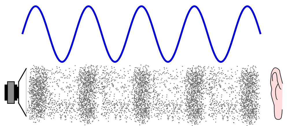 A loudspeaker generates a sound wave: The areas where the air molecules are pushed together are called “compressions.” The areas where the air molecules are more spread out are called “rarefactions.” The blue sine curve on top represents the sound wave, with high points being compressions and low points being rarefactions. The distance from one high point, or compression, to another is called the “wavelength.” (Image via Wikimedia Commons)  