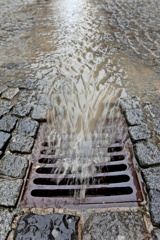 So where does rainwater go in cities that are almost completely paved over? The streets end up being the streams, and rainwater flows into storm drains that lead to underground tunnels that eventually flow to a creek, lake, or ocean. (Lisa S. / Shutterstock) 