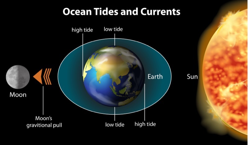 Tides are the daily rise and fall of the oceans. The moon’s gravity pulls on the oceans creating a “bulge” called “high tide.” (Shutterstock / Blue Ring Media)