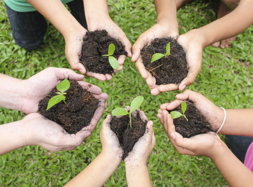 Kids and Soil