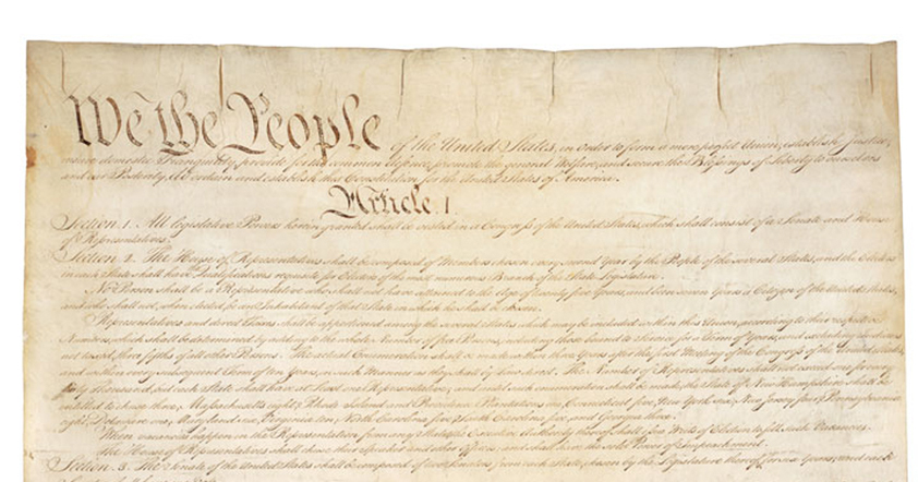 the constitution