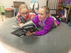 Your Guide to Flexible Seating in the Classroom