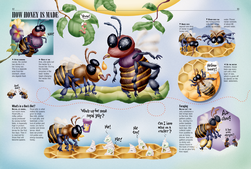 Lifecycle Of A Bee Diagram For Kids