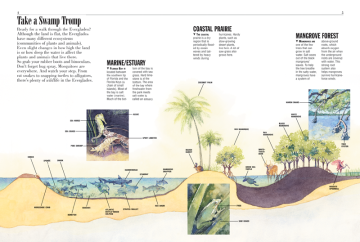 Everglades - Kids Discover what makeup is a diagram 