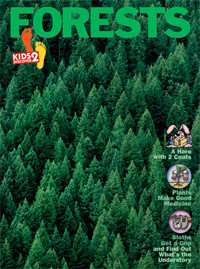 KD2: Forests KD2: Forests