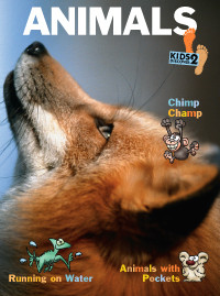 KD2: Animals KD2: Animals