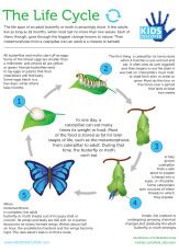 Infopacket: Metamorphosis - Kids Discover Infopacket: Metamorphosis - Kids Discover - 163 x 230 jpeg 17kB