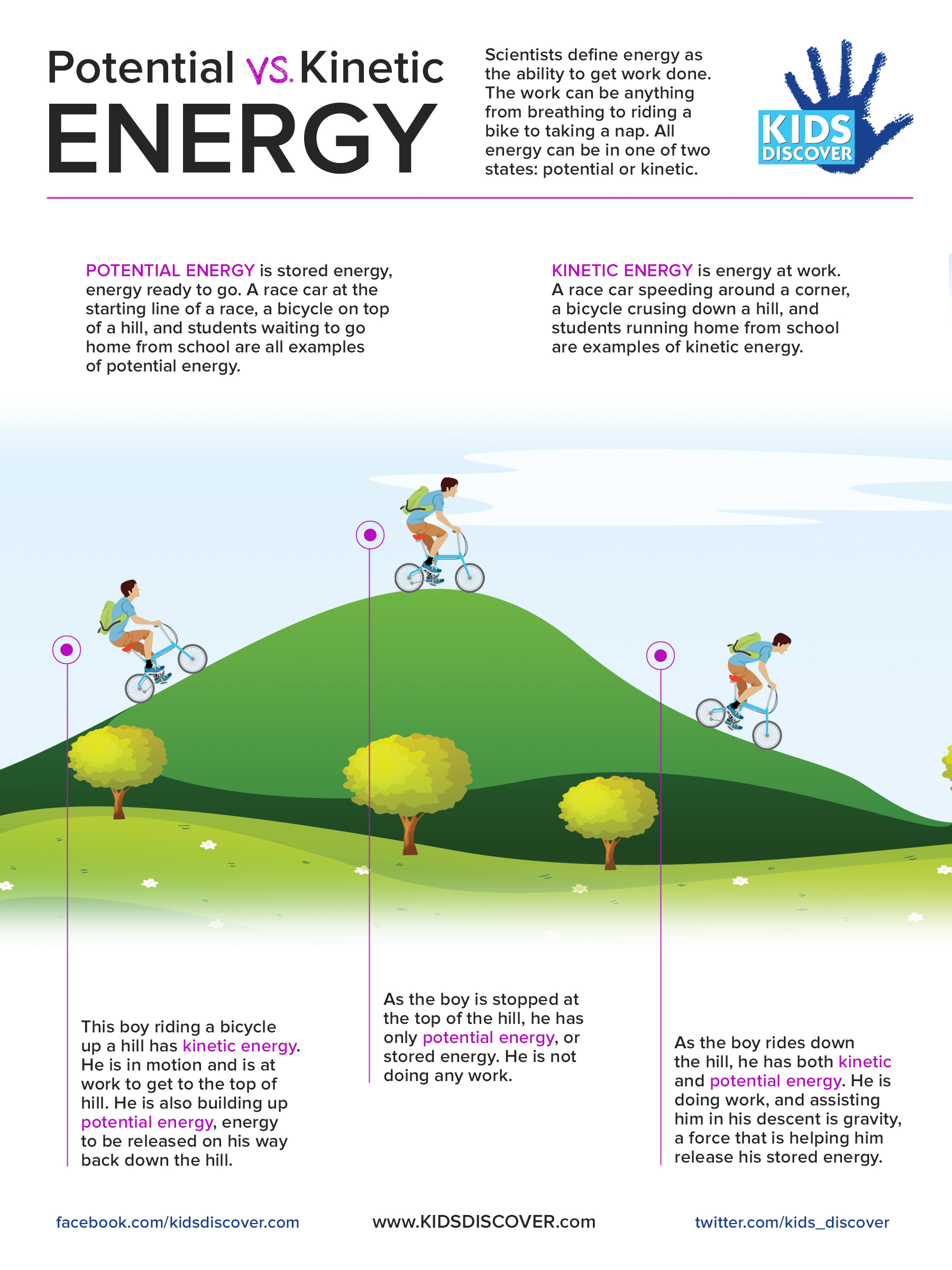 Potential And Kinetic Energy Anchor Chart